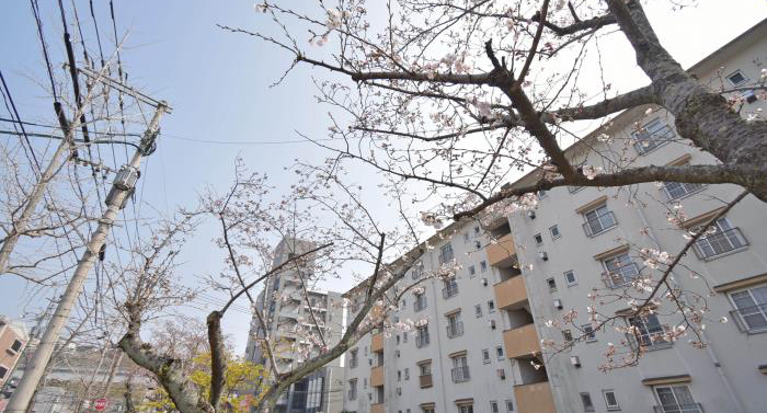 平原政徳の自宅住所はどこ？